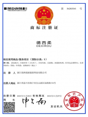 浙江德西瑞新能源商標注冊證 (1)