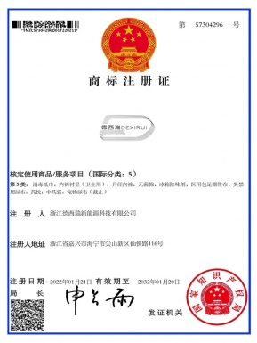浙江德西瑞新能源商標注冊證 (5)